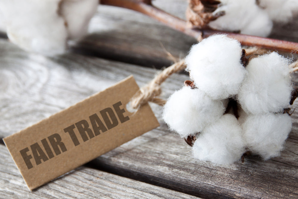 Why We Should Support Fair Trade Products