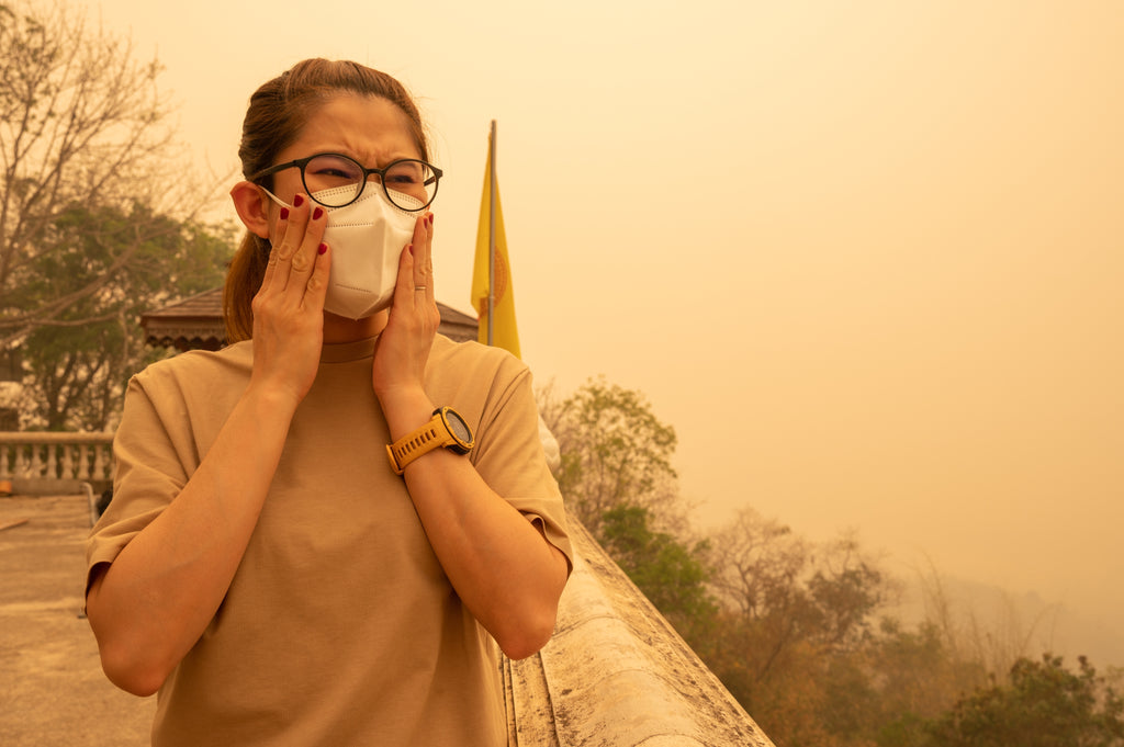 The Effects of Air Pollution on the Skin