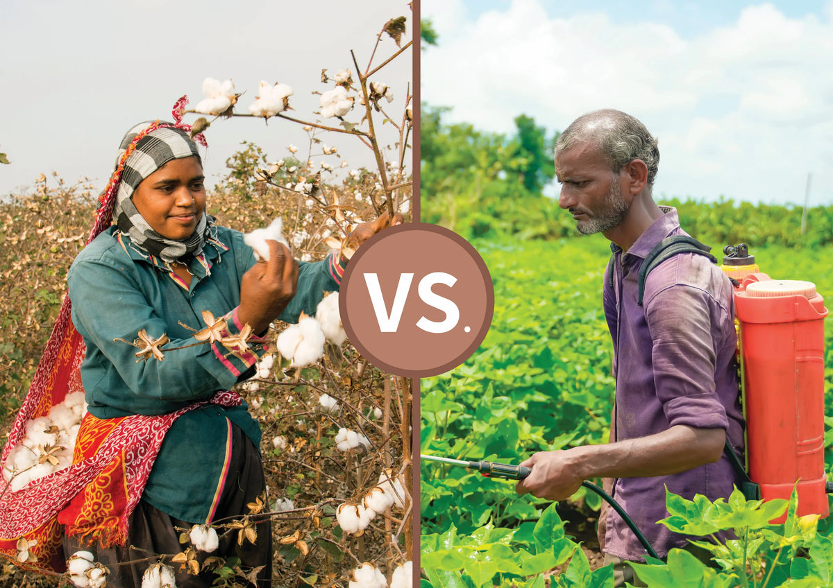 Organic Cotton Farming VS. Conventional Cotton Farming Cottonique