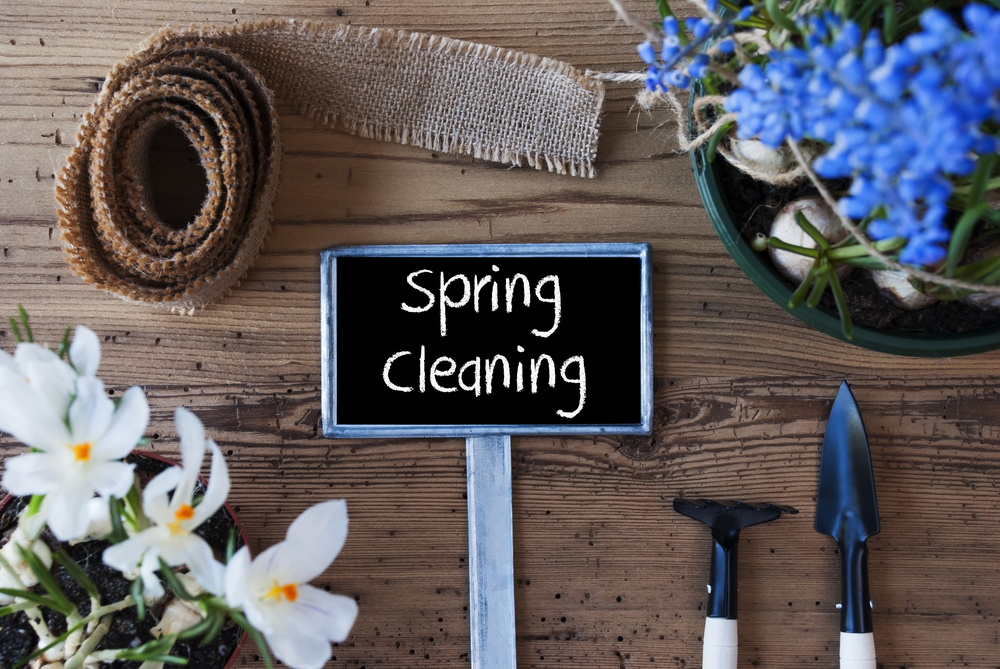 Here's How to Clean Your House if You Suffer from Spring Allergies