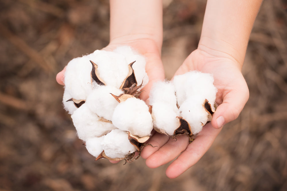 What is Certified Organic Cotton?